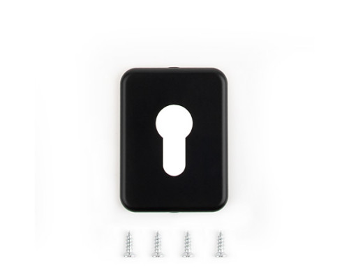 Накладка декоративная Avers DP-15.mini-C-BLM Накладка декоративная Avers DP-15.mini-C-BLM