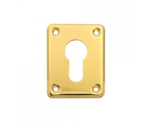 Накладка декоративная Apecs DP-01-C-G (B2B) Накладка декоративная Apecs DP-01-C-G (B2B)