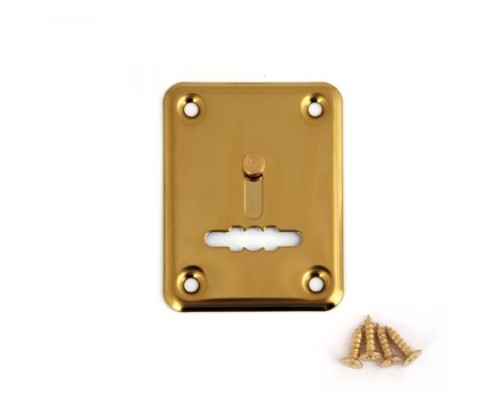 Накладка декоративная Avers DP-01-S-G-shutter Накладка декоративная Avers DP-01-S-G-shutter