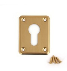 Накладка декоративная Avers DP-01-C-G