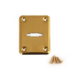 Накладка декоративная Avers DP-01-S-G