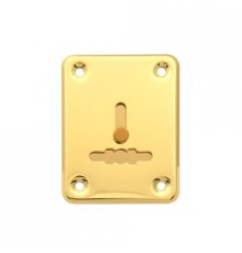 Накладка декоративная Apecs DP-01-S-G-shutter (DP-S-01-G-shutter)