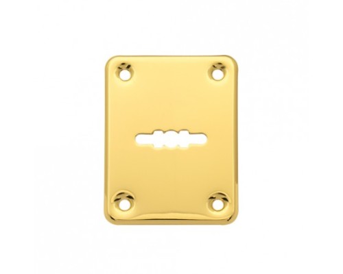 Накладка декоративная Apecs DP-01-S-G (DP-S-01-G) Накладка декоративная Apecs DP-01-S-G (DP-S-01-G)
