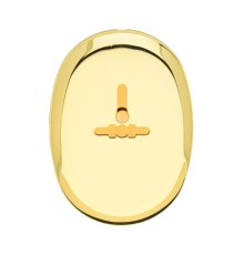 Накладка декоративная Apecs DP-11-S-G-shutter