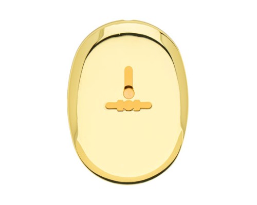 Накладка декоративная Apecs DP-11-S-G-shutter Накладка декоративная Apecs DP-11-S-G-shutter