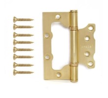 Петля накладная Apecs 100*75*2,5-B2-Steel-GM