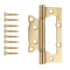Петля накладная Avers 100*63*2-B2-G