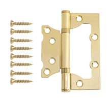 Петля накладная Vanger 100*75*2-P2-G