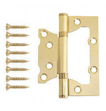 Петля накладная Vanger 100*75*2-P2-G