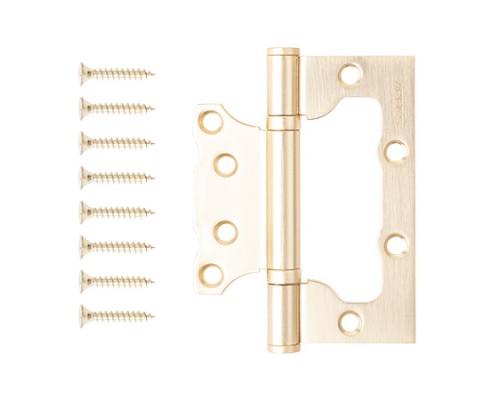 Петля накладная Apecs 100*75*2,5-B2-Steel-GMS