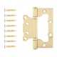 Петля накладная Avers 100*75*2,5-B2-GM