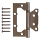 Петля накладная Avers 100*75*2,5-B2-GRF