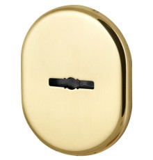 Декоративная накладка Armadillo (Армадилло) на сувальдный замок со шторкой PS-DEC CT (ATC Protector 1) GP-2 Золото