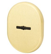 Декоративная накладка Armadillo (Армадилло) на сувальдный замок со шторкой PS-DEC CT (ATC Protector 1) SG-1 Матовое золото