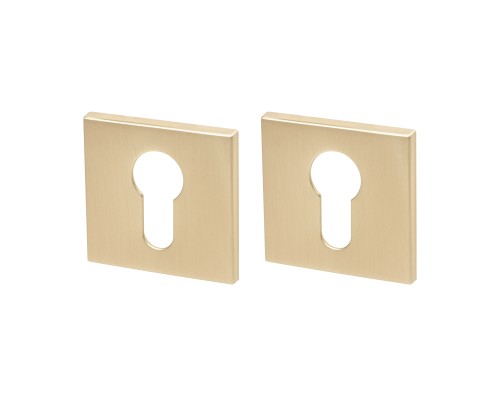 Накладка Armadillo (Армадилло) под цилиндр ET.K.YM FSG-39 флор. золото