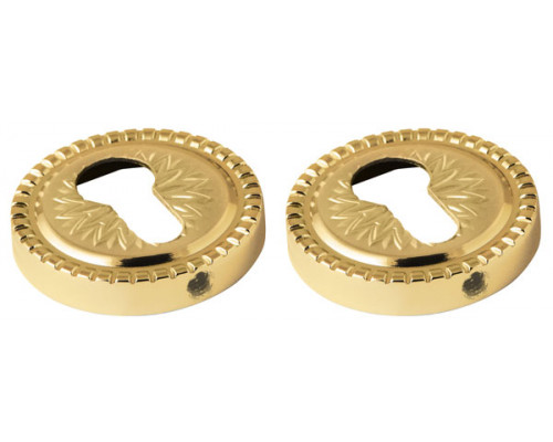 Накладка Armadillo (Армадилло) под цилиндр ET.R.CL55 (ET/CL) GOLD-24 золото 24К Накладка Armadillo (Армадилло) под цилиндр ET.R.CL55 (ET/CL) GOLD-24 золото 24К