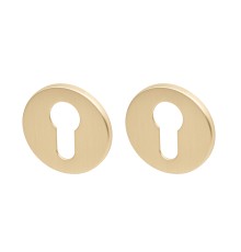 Накладка Armadillo (Армадилло) под цилиндр ET.R.YM FSG-39 флор. золото