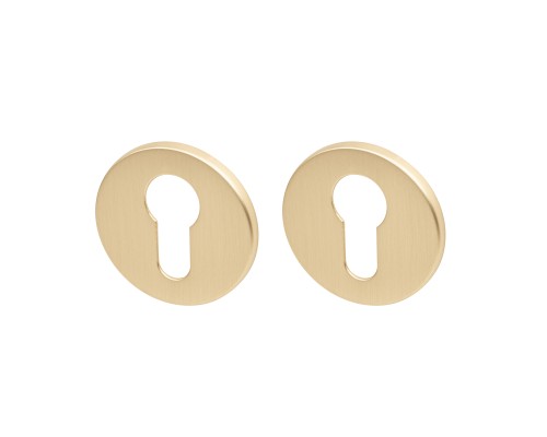 Накладка Armadillo (Армадилло) под цилиндр ET.R.YM FSG-39 флор. золото