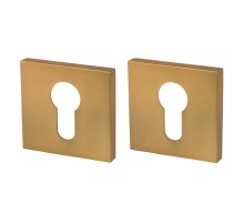 Накладка Armadillo (Армадилло) под цилиндр ET.K.USS52 (ET USS) FSG-39 флорентийское золото