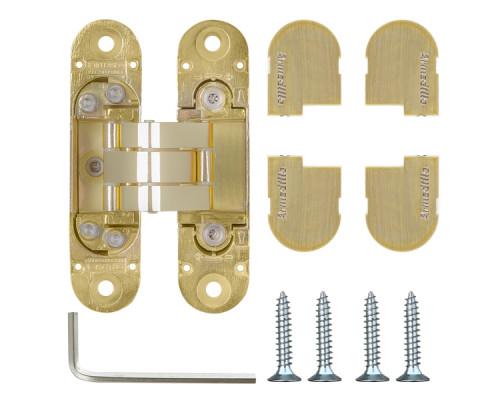 Петля Armadillo (Армадилло) скрытой установки U3D4000 SG (9540UN3D) мат. золото Петля Armadillo (Армадилло) скрытой установки U3D4000 SG (9540UN3D) мат. золото