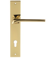 Дверная ручка на планке Extreza ERICA-PL13-CYL-85-F06-PVD (ERICA 119) полированная латунь PVD