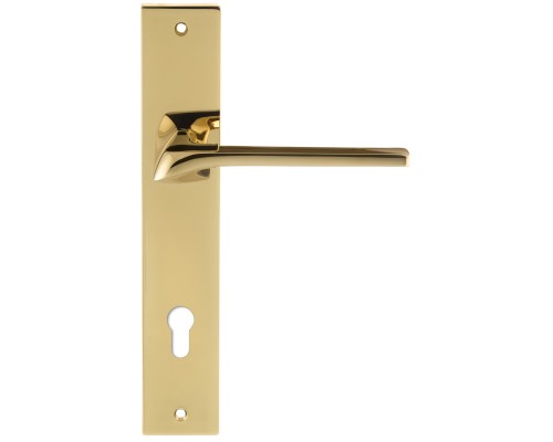 Дверная ручка на планке Extreza ERICA-PL13-CYL-85-F06-PVD (ERICA 119) полированная латунь PVD Дверная ручка на планке Extreza ERICA-PL13-CYL-85-F06-PVD (ERICA 119) полированная латунь PVD