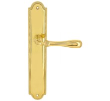 Дверная ручка Extreza CARRERA (Каррера) 321 на планке PL03 полированная латунь F01