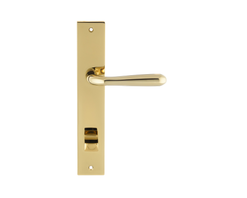 Дверная ручка на планке Extreza Hi-Tech ALDO 331 PL13-WC-96 полированная латунь F06 PVD