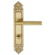 Дверная ручка на планке Extreza TUBA 126 PL02-WC-96 матовая латунь глянец F07