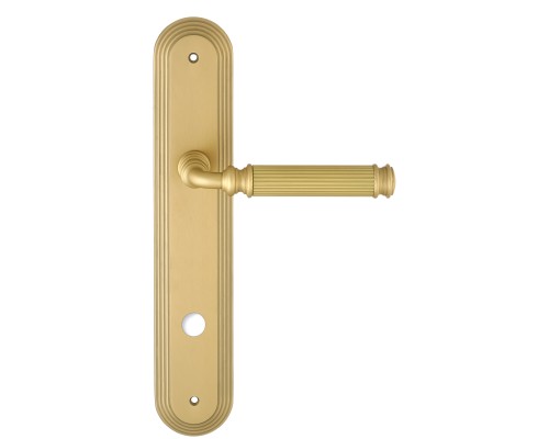 Дверная ручка на планке Extreza BENITO-PL05-WC96-F02 (BENITO 307) матовая латунь Дверная ручка на планке Extreza BENITO-PL05-WC96-F02 (BENITO 307) матовая латунь