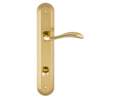 Дверная ручка на планке Extreza FLEXA-PL05-WC-96-F01 (FLEXA 335) полированная латунь Дверная ручка на планке Extreza FLEXA-PL05-WC-96-F01 (FLEXA 335) полированная латунь