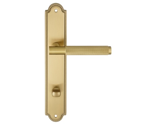 Дверная ручка на планке Extreza TUBA 126 PL03-WC-96 матовая латунь глянец F07 Дверная ручка на планке Extreza TUBA 126 PL03-WC-96 матовая латунь глянец F07