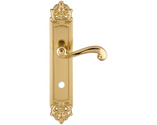 Дверная ручка на планке Extreza BERTA-PL02-WC-96-F01 (BERTA 312) полированная латунь Дверная ручка на планке Extreza BERTA-PL02-WC-96-F01 (BERTA 312) полированная латунь