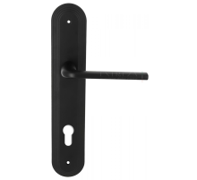 Дверная ручка Extreza TERNI (Терни) 320 на планке PL05 CYL черный матовый F22