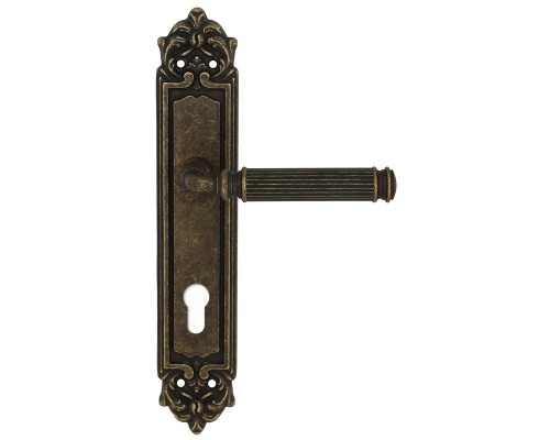 Дверная ручка на планке Extreza BENITO-PL02-CYL85-F23 (BENITO 307) античная бронза Дверная ручка на планке Extreza BENITO-PL02-CYL85-F23 (BENITO 307) античная бронза