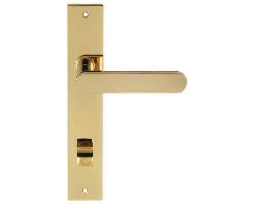 Дверная ручка Extreza Hi-tech JEMMA 116 на планке PL13-WC-96-F06 полированная латунь PVD Дверная ручка Extreza Hi-tech JEMMA 116 на планке PL13-WC-96-F06 полированная латунь PVD