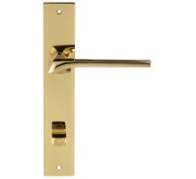 Дверная ручка на планке Extreza ERICA-PL13-WC-96-F06-PVD (ERICA 119) полированная латунь PVD