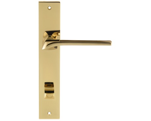 Дверная ручка на планке Extreza ERICA-PL13-WC-96-F06-PVD (ERICA 119) полированная латунь PVD Дверная ручка на планке Extreza ERICA-PL13-WC-96-F06-PVD (ERICA 119) полированная латунь PVD