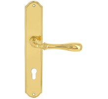 Дверная ручка Extreza CARRERA (Каррера) 321 на планке PL01 CYL полированная латунь F01