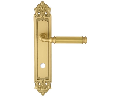Дверная ручка на планке Extreza BENITO-PL02-WC96-F02 (BENITO 307) матовая латунь Дверная ручка на планке Extreza BENITO-PL02-WC96-F02 (BENITO 307) матовая латунь