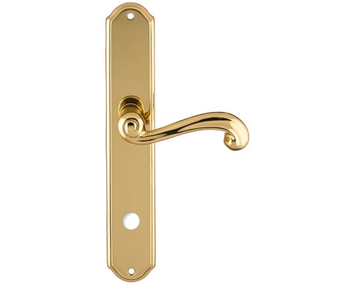Дверная ручка на планке Extreza BERTA-PL01-WC-96-F01 (BERTA 312) полированная латунь Дверная ручка на планке Extreza BERTA-PL01-WC-96-F01 (BERTA 312) полированная латунь
