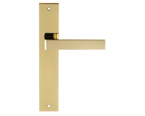 Дверная ручка на планке Extreza ENZO-PL13-PVD-F06 (ENZO 117) полированная латунь PVD