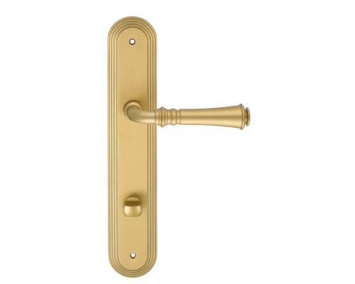 Дверная ручка на планке Extreza CANNA 327 PL05-WC-96 матовая латунь F02 Дверная ручка на планке Extreza CANNA 327 PL05-WC-96 матовая латунь F02