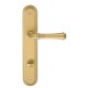 Дверная ручка на планке Extreza CANNA 327 PL05-WC-96 матовая латунь F02