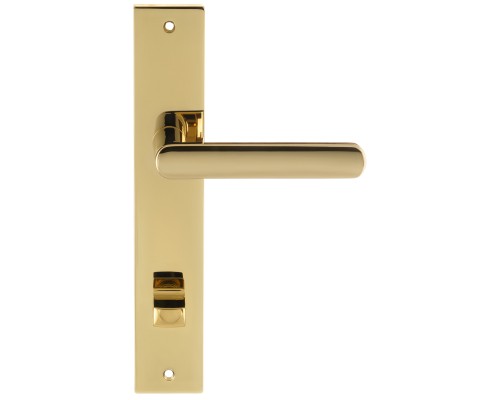Дверная ручка на планке Extreza Hi-Tech AQUA 113 PL13-WC-96 полированная латунь F06 PVD Дверная ручка на планке Extreza Hi-Tech AQUA 113 PL13-WC-96 полированная латунь F06 PVD