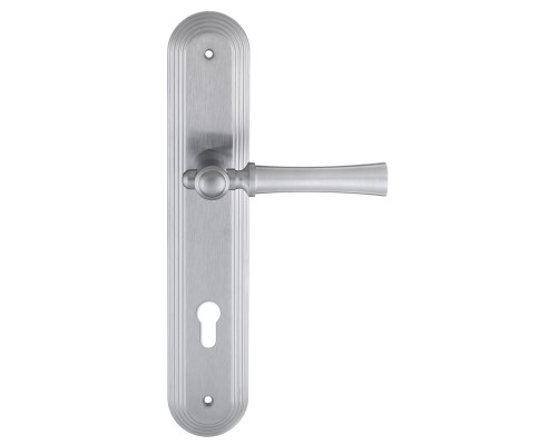 Дверная ручка на планке Extreza DEZI 309 PL05-CYL-85-F05 матовый хром Дверная ручка на планке Extreza DEZI 309 PL05-CYL-85-F05 матовый хром