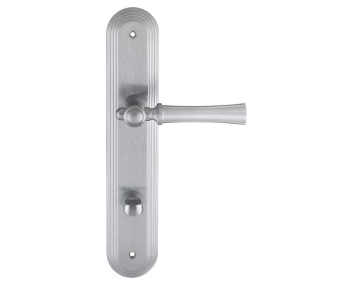 Дверная ручка на планке Extreza DEZI 309 PL05-WC-96-F05 матовый хром Дверная ручка на планке Extreza DEZI 309 PL05-WC-96-F05 матовый хром