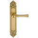 Дверная ручка на планке Extreza DEZI 309 PL02-F07-F01-F07 матовая латунь глянец / латунь / планка матовая латунь глянец