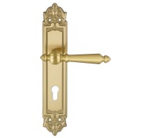 Дверная ручка на планке Extreza DANIEL-PL02-CYL-85-F07 (DANIEL 308) матовая латунь глянец