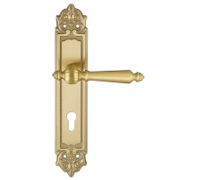 Дверная ручка на планке Extreza DANIEL-PL02-CYL-85-F07 (DANIEL 308) матовая латунь глянец